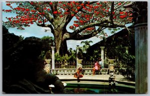 Vtg Clearwater Florida FL Kapok Tree Inn Restaurant 1960s Chrome View Postcard