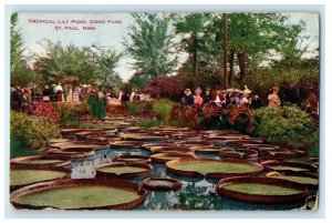 1909 Tropical Lily Pond Como Park St. Paul Minnesota MN Antique Postcard 