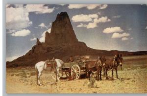 Postcard~Ship Rock,New Mexico/NM..Mules/Donkeys/Wagon