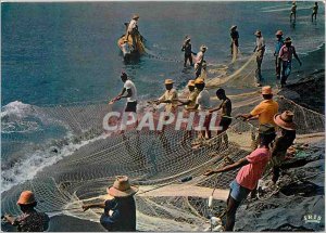 Postcard Modern french Antilles 7112 fishing has Seyne fishing net fishing