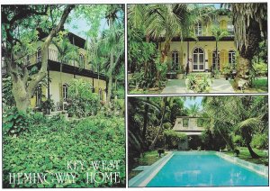 Split View of Hemingway's Home Key West Florida  4 by 6