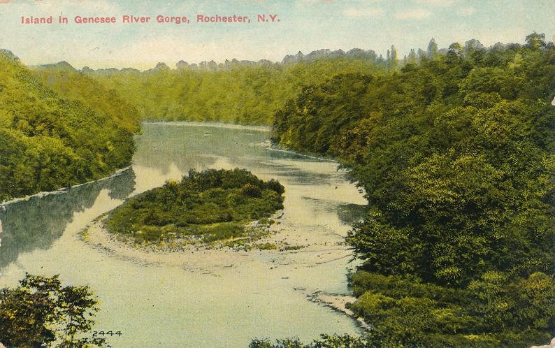 Island in Genesee River North of Lower Falls - Rochester New York - pm 1911 - DB