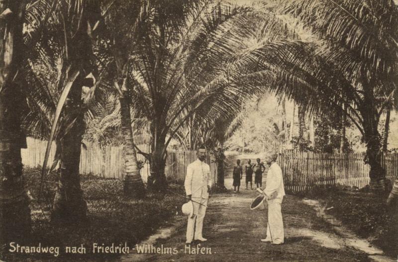 german new guinea, MADANG, Friedrich-Wilhelmshafen, Beach Road (1910s) Palm Tree