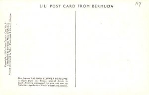 The Passion Flower Bermuda Postcard