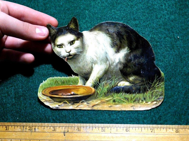 Lovely Tabby Cat in The Grass Eating, Larger Sized Die Cut Victorian Scrap #M