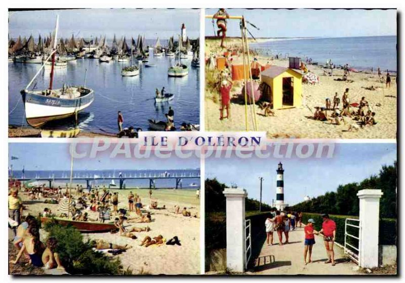 Postcard Modern Ile D'Oleron Port De La Cotiniere