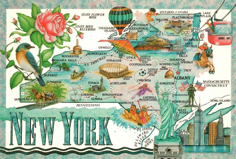 Vintage Postcard Rose Flower Sugar Maple Tree New York Empire State Albany Area