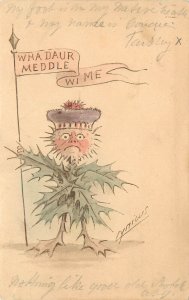 Postcard Anthropomophic Thistle Man Holds Flag Why Daur Meddle Wi Me? Cynicus