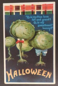 Unposted Original Cabbage Family Hallowe'en (Halloween) Postcard