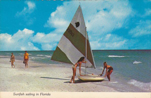 Sunfish Sailing In Florida