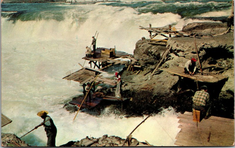 Vtg 1950s Indians Fishing at Celilo Falls Columbia River Oregon OR Postcard