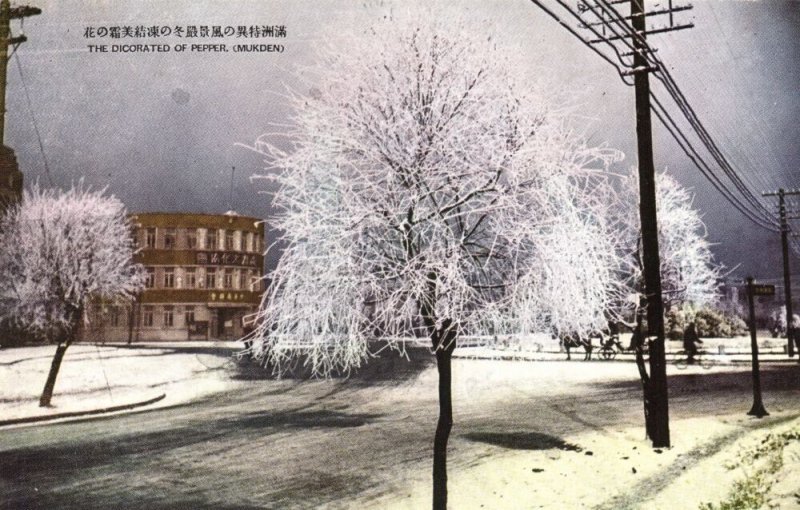 china, SHENYANG FENGTIAN MUKDEN 沈阳市, Manchuria, Winter Scene (1930s) Postcard