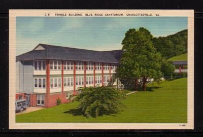 Virginia Post Card Trinkle Bldg Blue Ridge San 