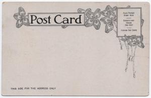 1906 Harrisburg PA Hall House of Representatives New State Capitol UDB Postcard