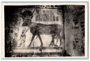c1920s Temple Of Queen Hatshepsut Hathor Hieroglyphs Thebes Egypt RPPC Postcard