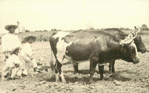 Vintage Postcard Labradores Arando La Tierra Mexico an Children Dog Mighty Cows