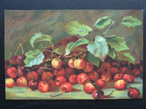 Fruit Berries & Nuts Study CHERRIES / CHERRY Artist Mario Somasca c1910 Postcard