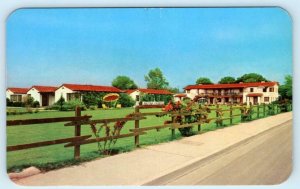 PHOENIX, Arizona AZ  ~ Roadside ARIZONA FRONTIER RESORT LODGE ca 1950s Postcard