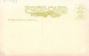 CO - State Flower & Capitol. Columbine & Denver