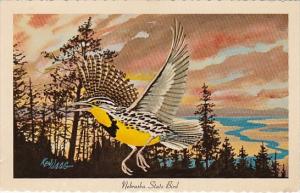 Western Meadowlark Nebraska State Bird