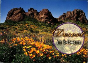 Desert in Bloom Gold Poppies Postcard 41c Stamp Chrome Bruce Finchum PM 