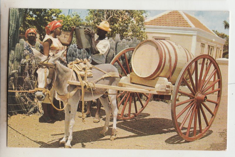 P3024, vintage postcard donkey and cart the water vendor coracao.1960 on back