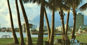 Postcard  Waikiki Hotels through the Palm Trees, HA.      R3