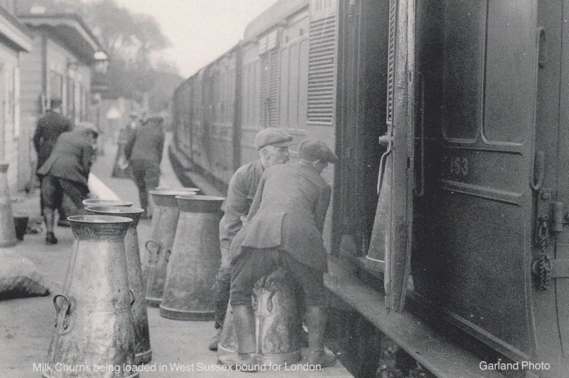 Selham Station 1923 Dairy Milk Floats Train West Sussex Postcard