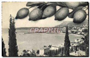 Old Postcard Menton General view The Lemons