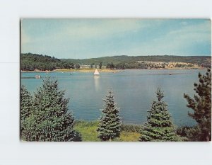 Postcard The Lake at Shawnee State Park Schellsburg Pennsylvania USA