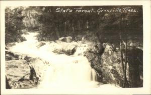 Granville MA State Forest Real Photo Postcard #1