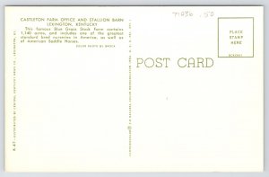 State View~Lexington KY~Castleton Farm Office & Stallion Barn~Vintage Postcard