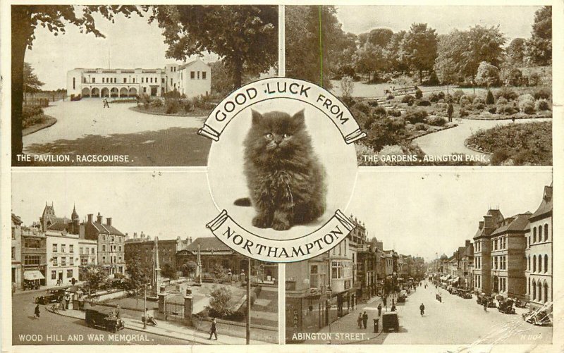 Postcard England good luck from Northampton several aspects and sites cat