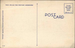 Biscoe NC North Carolina Tree Lined Roadway c1930-40s Vintage Postcard