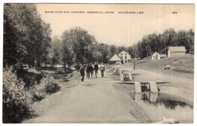 Maine State Fish Hatchery, Greenville, Maine, Moosehead Lake