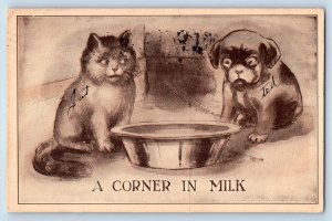 DeKalb Illinois IL Postcard Kitten Cat And Puppy Dog Animal c1910's Antique