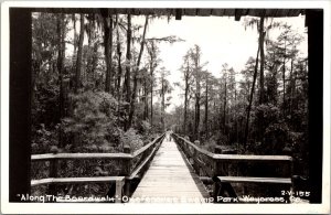 RPPC Along the Boardwalk, Okefenokee Swamp Park Waycross GA Vintage Postcard V52