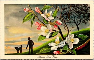 Vtg Arkansas State Flower Apple Blossom Artist Signed Ken Haag 1967 Postcard