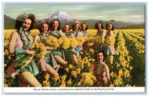 Olympia Washington Postcard Mount Rainier Backdrop Daffodil Fields Puyallup 1960