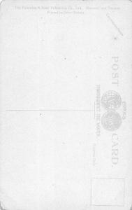 bear river from the road Nova Scotia canada L4507 antique postcard