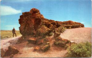 Famous Old Faithful Log, near Holbrook - Heart fund cancel