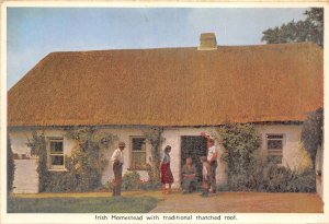 uk51848 irish homestead with traditional tatched roof ireland