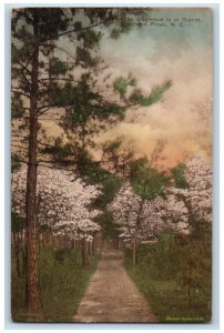 c1920's When The Dogwood Is In Bloom Southern Pines NC Handcolored Postcard