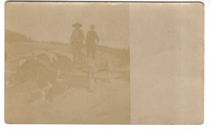Real Photo, Men in Wagon, Sent to Spanish Ship Bay, Nova Scotia