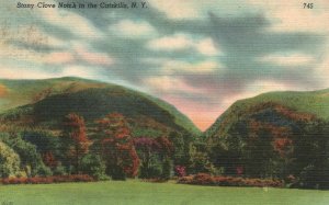 Vintage Postcard 1953 Stony Clove Notch In Catskills New York Kingston News Pub.