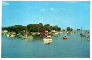 Boats at Kew Beach, Toronto, Ontario