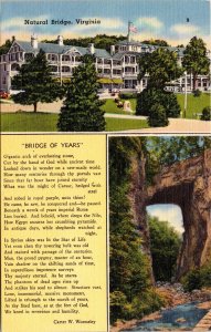 Natural Bridge Virginia Vintage Linen Postcard US 11 Niagara Falls Postcard UNP 