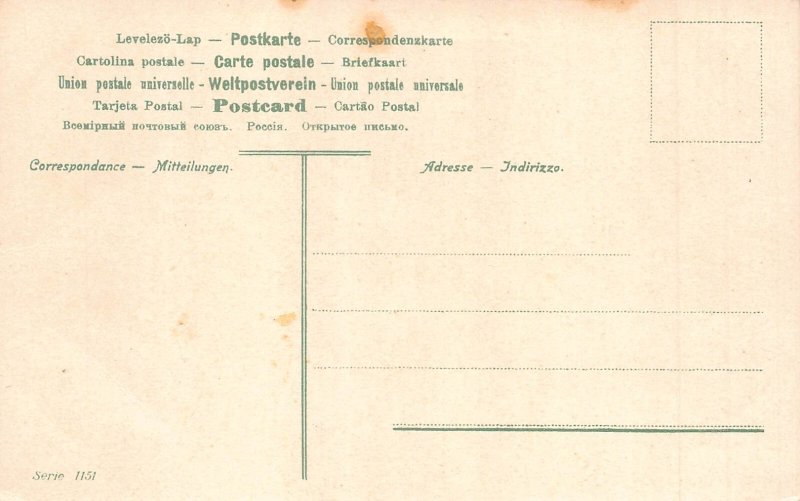 Animals Anthropomorphic Humanized Monkey Wedding March Violonist postcard B920