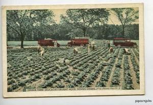 Atlantic City Dennis Farming Trucks Postcard