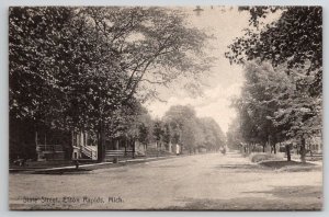 Eaton Rapids MI Michigan State Street Homes Tree Lined Road Postcard C31